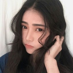 纵横无双
